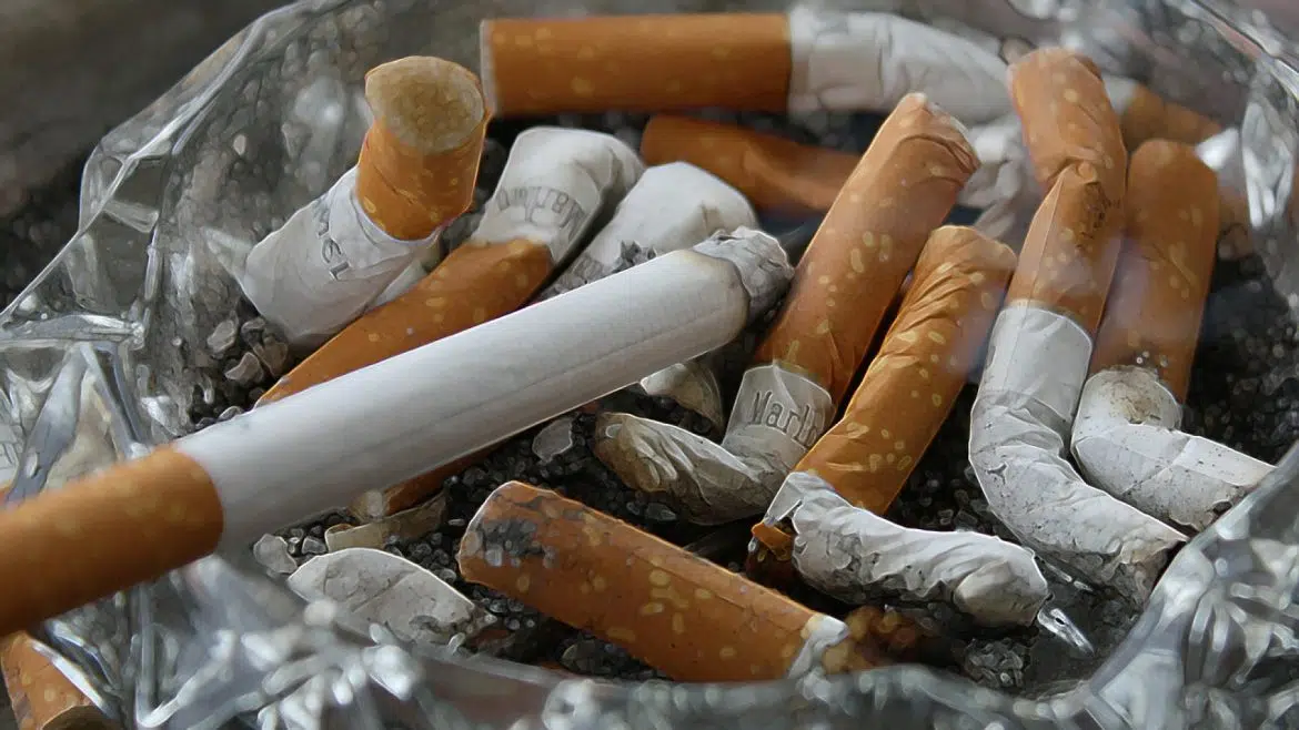 Quelques maladies liées à la consommation de la cigarette