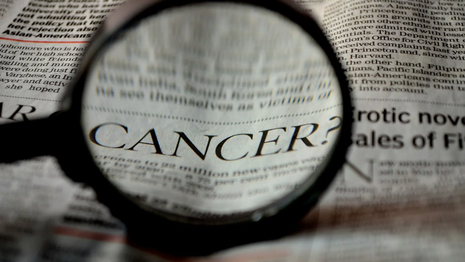 Quels sont les types de cancer les plus répandus au monde ?