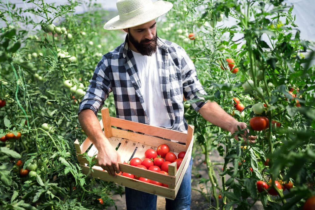 sont les critères de choix d’une mutuelle pour un agriculteur